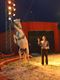 Moscow Star Circus in Beringen