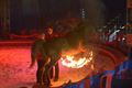Moscow Star Circus in Beringen