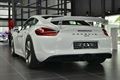 Porsche Center Paal lokt veel nieuwsgierigen