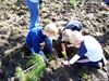 Duizend nieuwe bomen