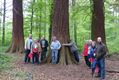 Op bezoek in het Hallerbos