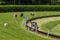 Nieuw baanrecord op windhondenrenbaan Beringen