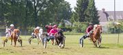 Veel volk op de paardenkoers