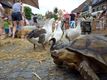 Veel lekkers op de lekkerbekkenmarkt