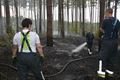 Brandweer al hele dag in de weer voor bosbrand