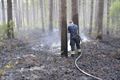 Brandweer al hele dag in de weer voor bosbrand