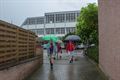 Hoogzomertocht van Wandelend Paal