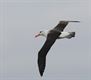 Vakantiegroeten uit... Helgoland