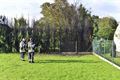 Bomen gaan in vlammen op in Beverlo