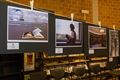 Winnaars fotowedstrijd bibliotheek Beringen