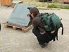 Serviceflats gaan Seppehof heten