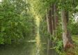 Grote veranderingen in de natuur