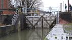 Bever gered uit sluizencomplex