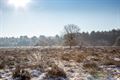 Prachtige winterlandschappen