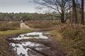 Heerlijk wandelweer