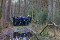 Winterse vogelwandeling in de Koerselse natuur