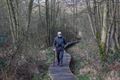 Winterse vogelwandeling in de Koerselse natuur