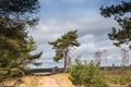 Zalig wandelen in de Blekerheide