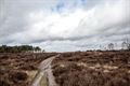 Zalig wandelen in de Blekerheide