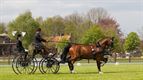 Menwedstrijd tegenover Perjanneke