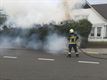 Dennen vatten vuur: brand snel geblust