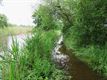 Veel sterfte onder broedvogels door regenval