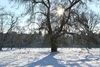 Winter in Overpelt