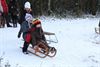 Winter in Overpelt
