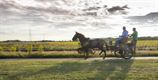 Te voet, te paard of met de fiets