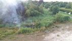 Vegetatiebrand bij het kanaal