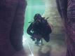 Eerste onderwaterfoto's duikcentrum TODI