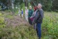 Een kijk op de heide