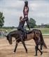 Dag van de Landbouw in het teken van het paard