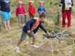 Kabouters en kriebelbeestjes in Koersel