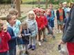 Kabouters en kriebelbeestjes in Koersel