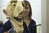 Een weekend rond figurentheater