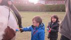 Paarden en pony op bezoek in het Mozaïek