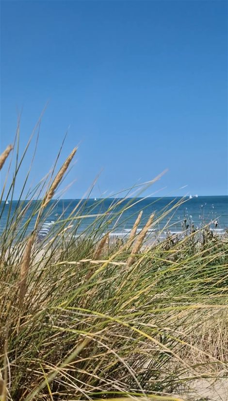 Vakantiestudio Westende-Bad