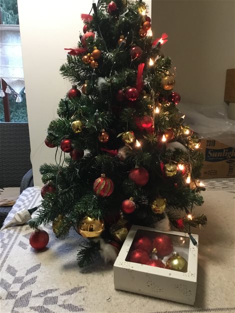 Versierde kerstboom (pje)