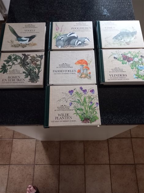 7 leerrijke nieuwe boeken