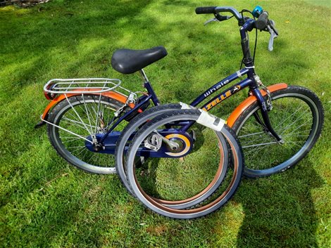 Kinderfiets - Gazelle - Whale
