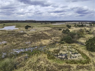 Waterwandeling in het Hageven