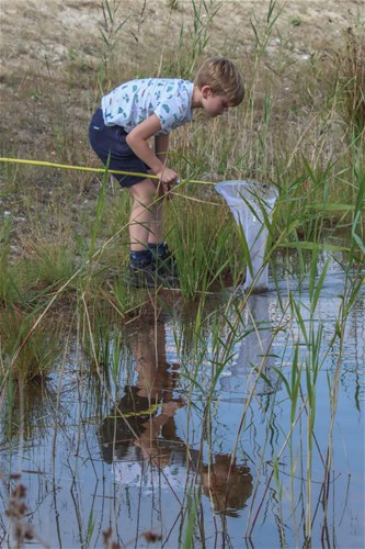 Blokwaters onder water : Wateronderzoek