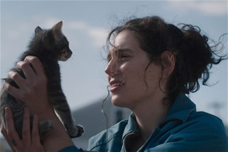Zebracinema: Sorry, Baby