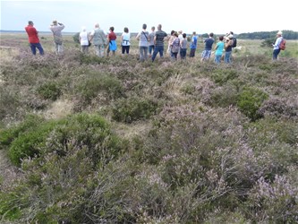 De ziel van de Koerselse heide