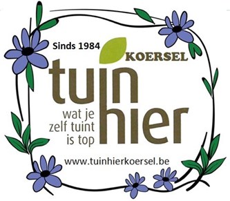 Herfstwandeling Tuinhier KOERSEL
