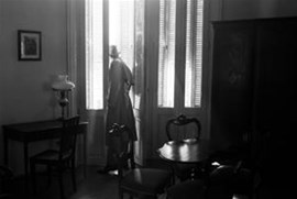 Zebracinema: The Disappearance of Josef