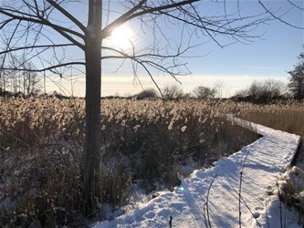 Eindejaarswandeling in het Hageven