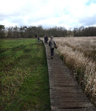 Mens en landschap: historisch samenspel