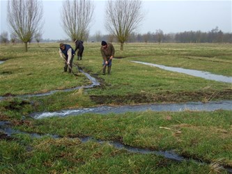 Beheerwerken Vloeiweide